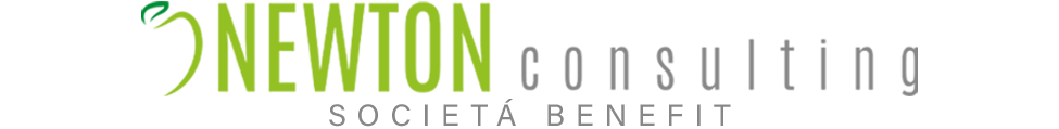 Newton Consulting